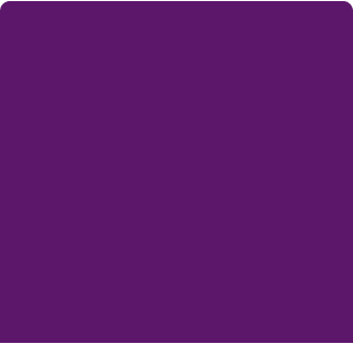 Irdeto purple